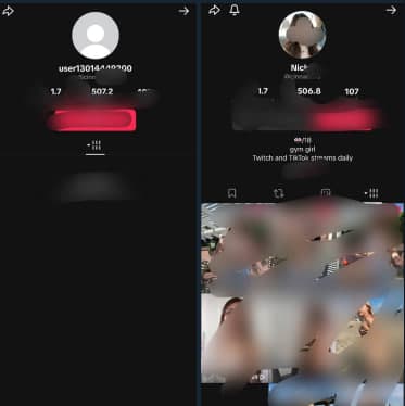 TikTok Account Removals service visual 1